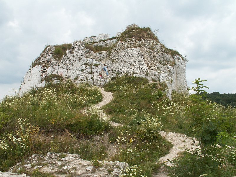 PICT0041.JPG