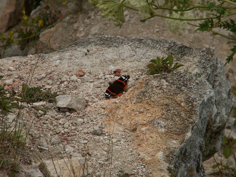 PICT0049.JPG