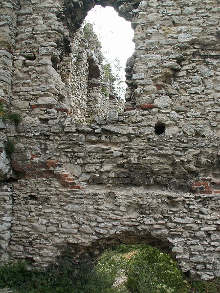 PICT0061.JPG