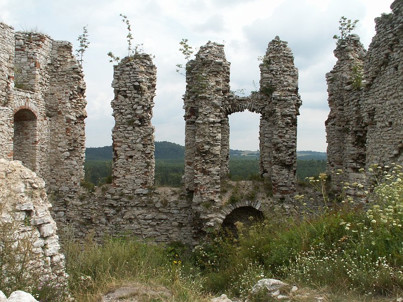 PICT0064.JPG