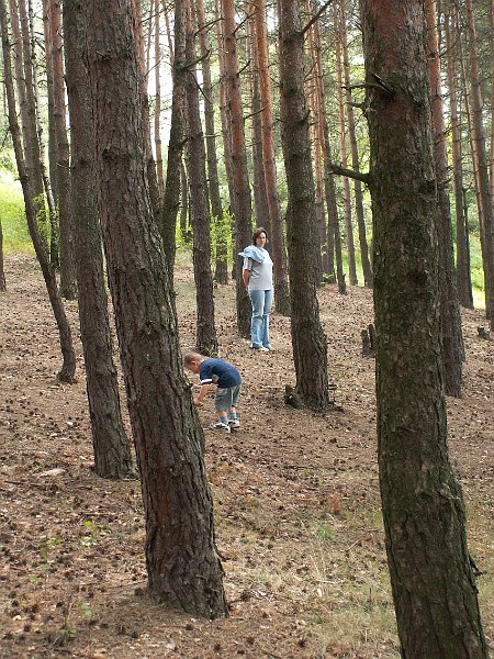 PICT0082.JPG