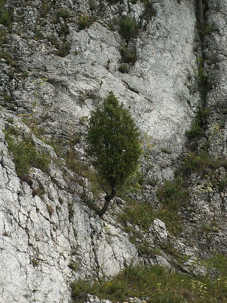 PICT0086.JPG