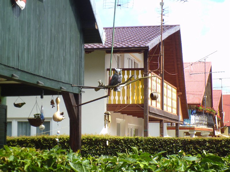 P1000226.JPG