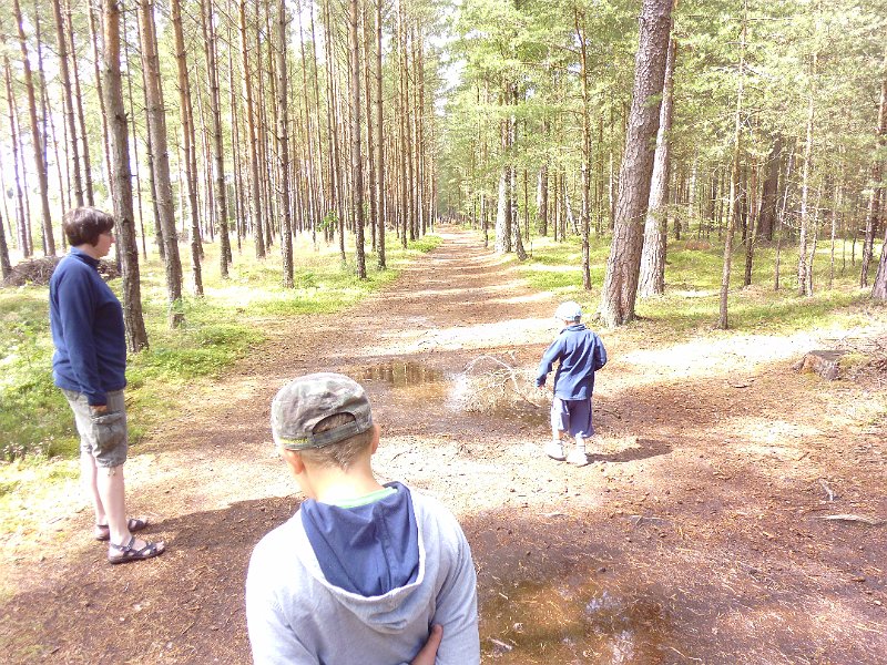 P1000228.JPG