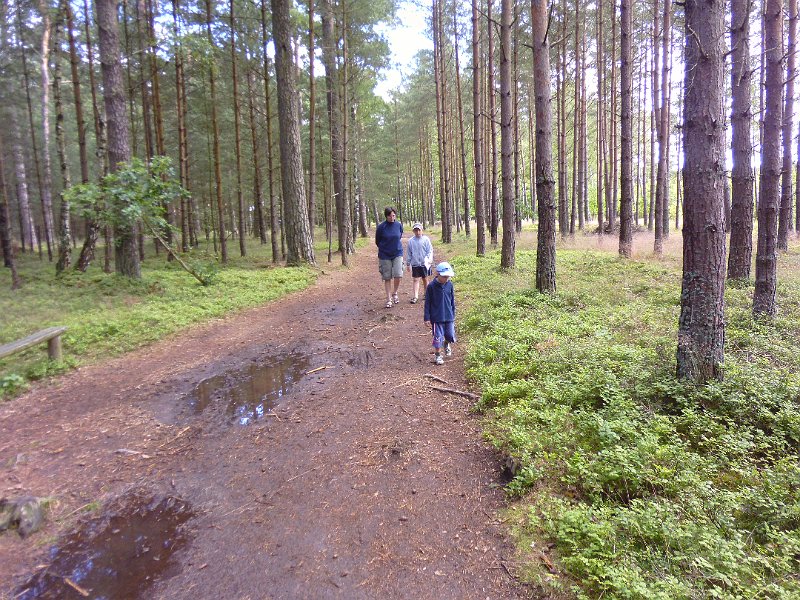 P1000229.JPG