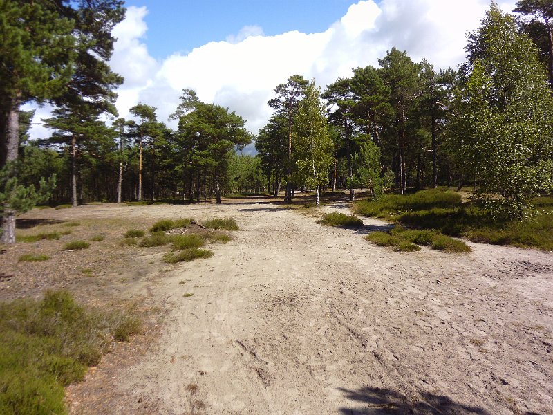 P1000234.JPG
