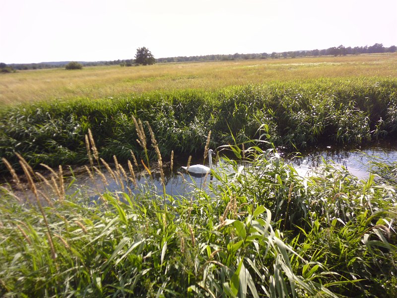 P1000252.JPG