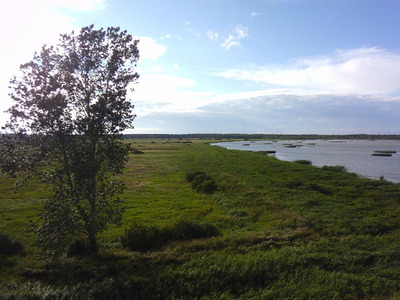 P1000265.JPG