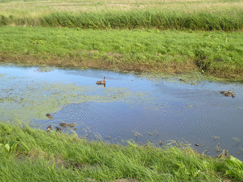 P1000270.JPG