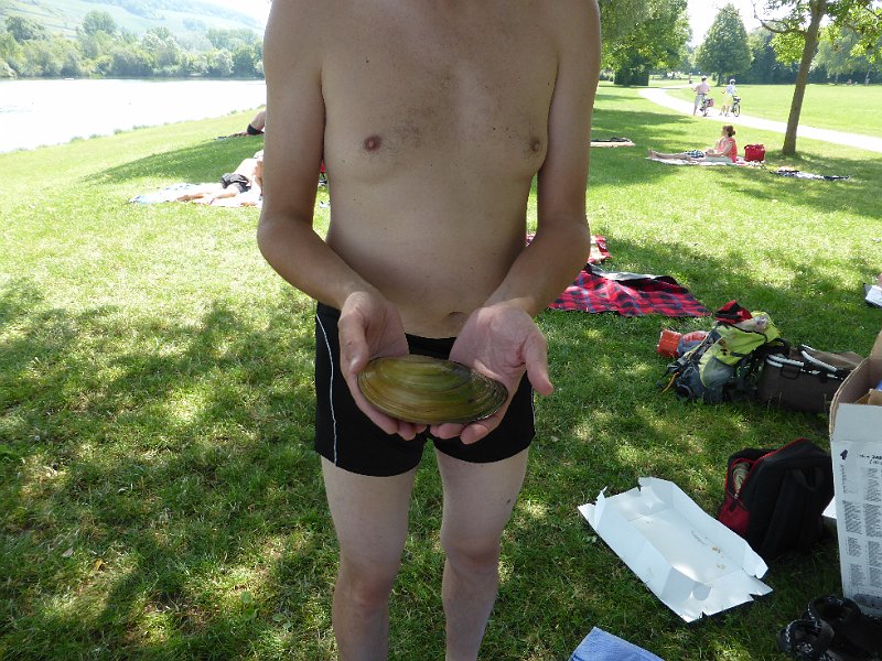 Bild299.JPG