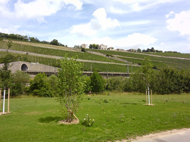 P1010527.JPG