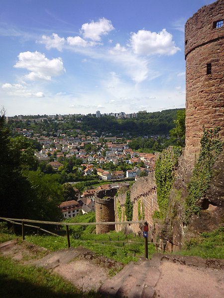 P1010704.JPG