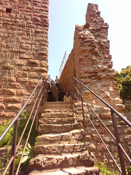 P1010733.JPG