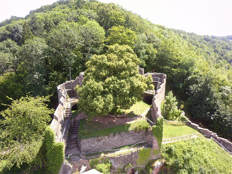 P1010745.JPG