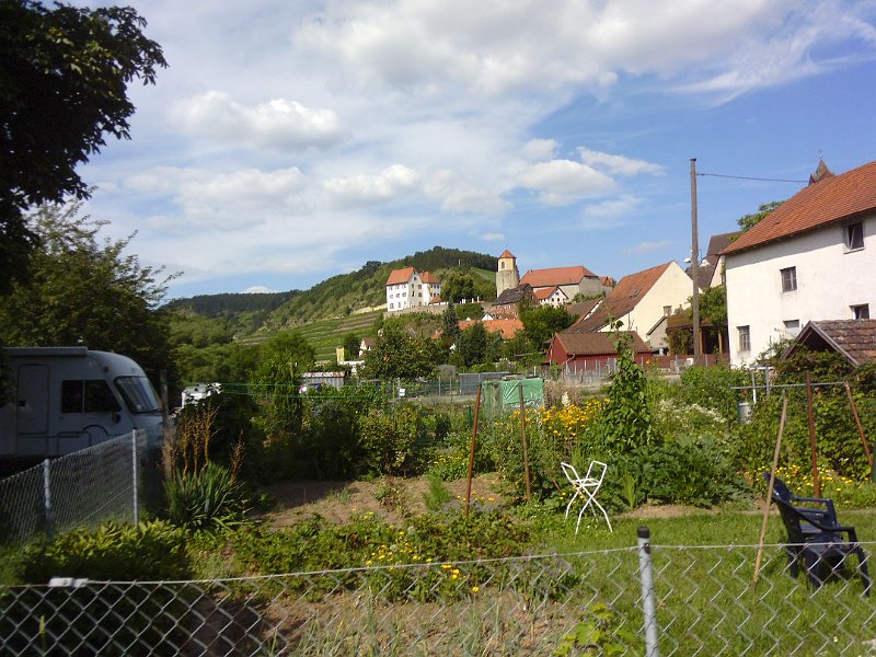 P1010779.JPG
