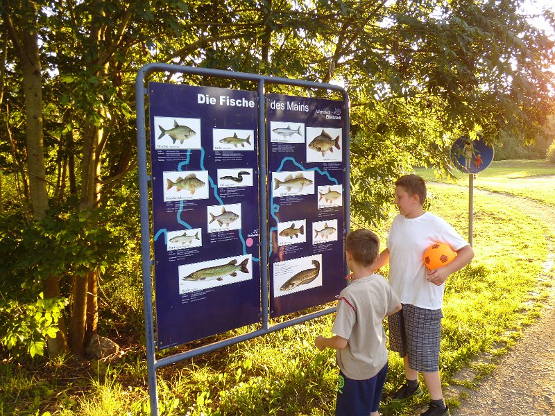 P1010790.JPG