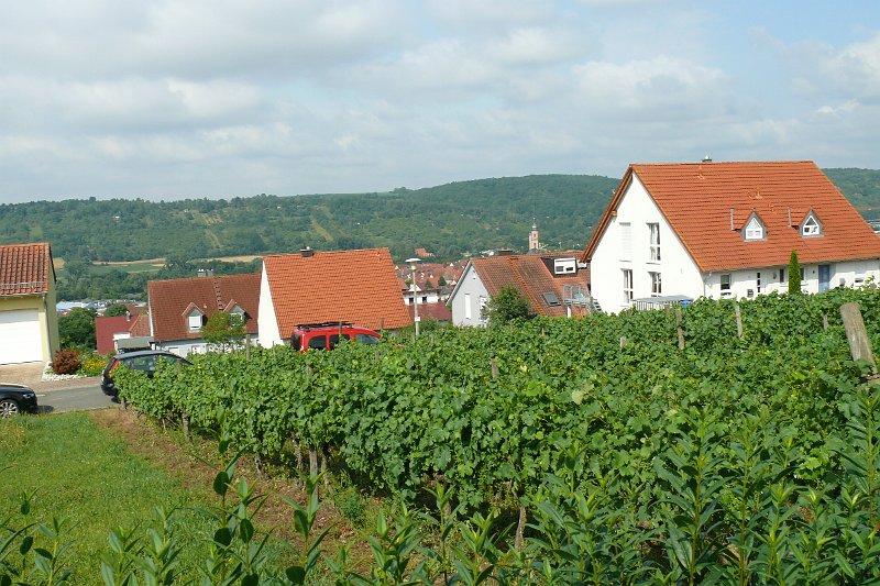 P1200465.JPG