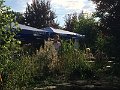 Bild142
