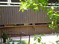 P1010462