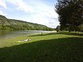 P1010558