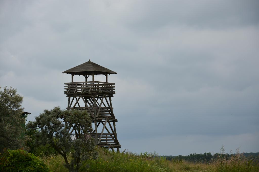 DSC_5273.JPG