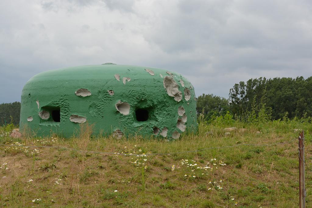 DSC_5282.JPG