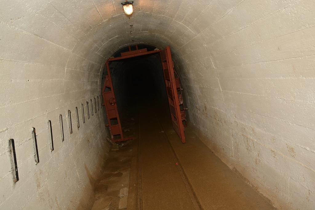 DSC_5319.JPG