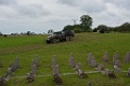 DSC_5258