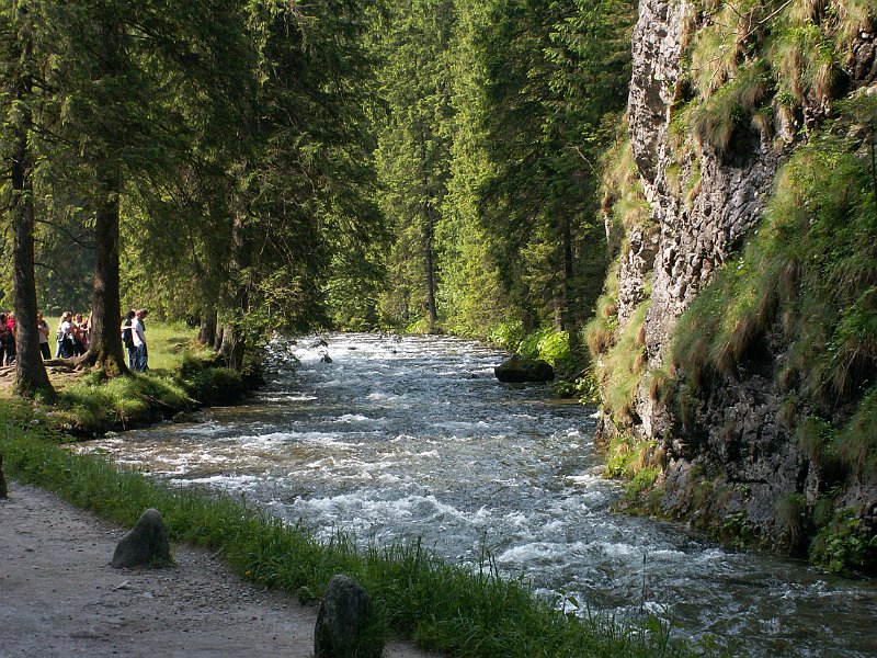 PIC0007.JPG