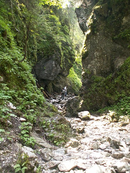 PIC0030.JPG