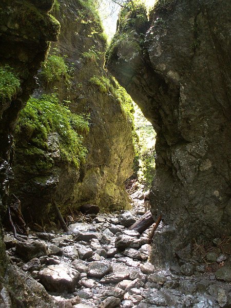 PIC0031.JPG
