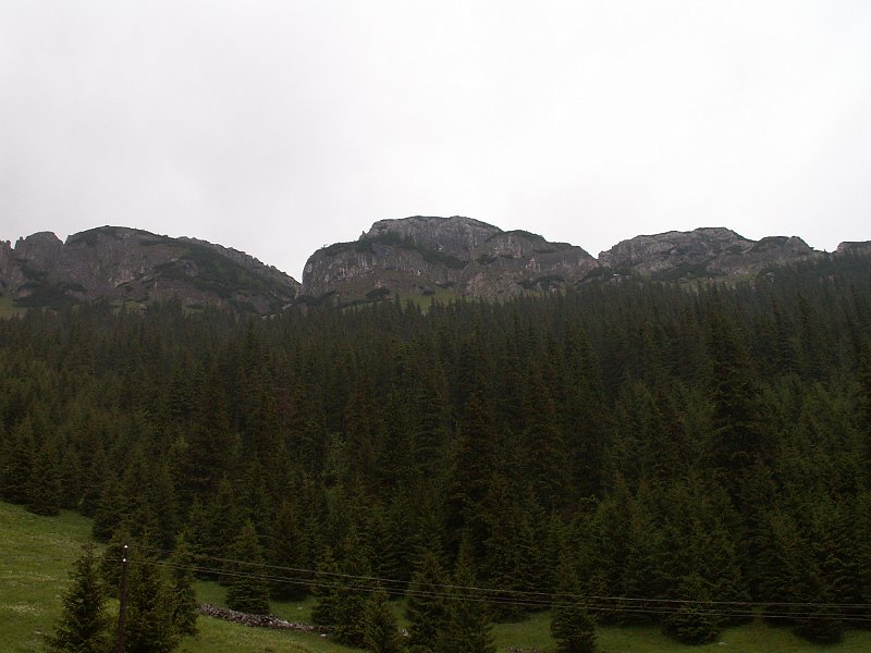PIC0165.JPG