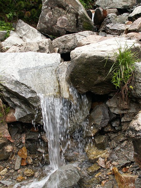 PIC0201.JPG