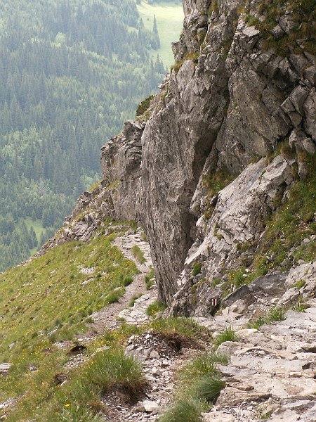 PIC0270.JPG