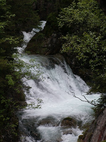PIC0349.JPG