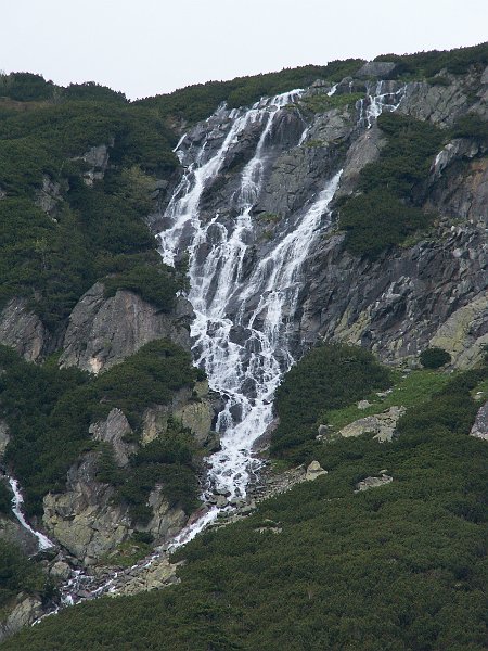 PIC0361.JPG