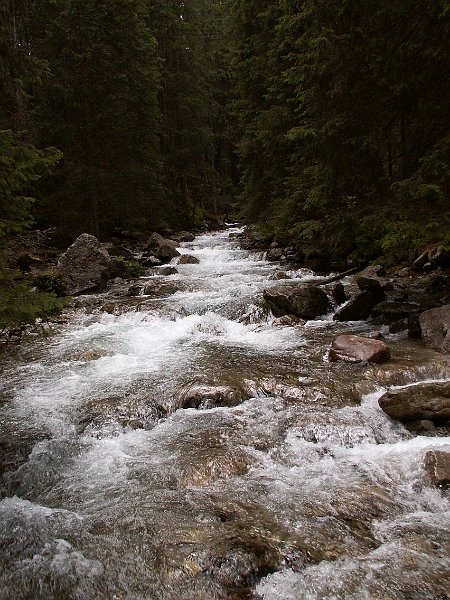 PIC0420.JPG