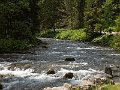 PIC0015