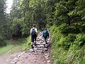 PIC0160