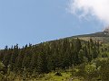 PIC0180