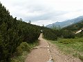 PIC0193