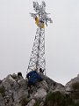 PIC0239