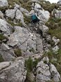 PIC0246