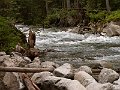 PIC0354