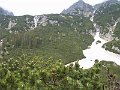 PIC0360
