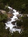 PIC0364
