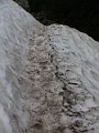 PIC0368