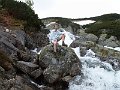 PIC0381