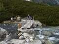 PIC0393