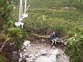 PIC0417